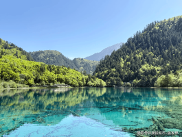 四川4天避开网红坑本地人私藏路线四川成都热门景点一次逛够